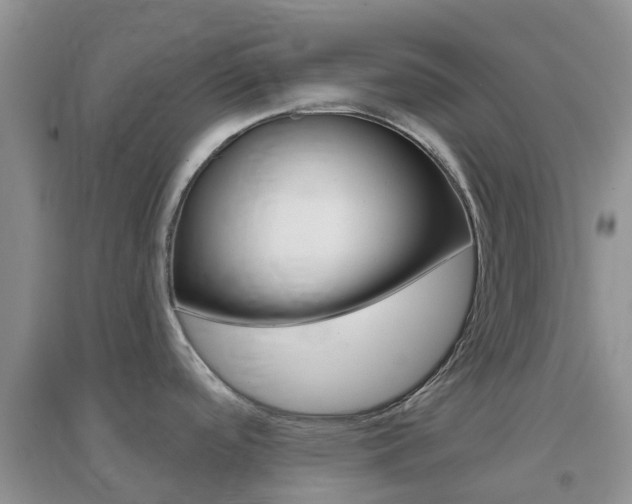X0000096951488200802080910