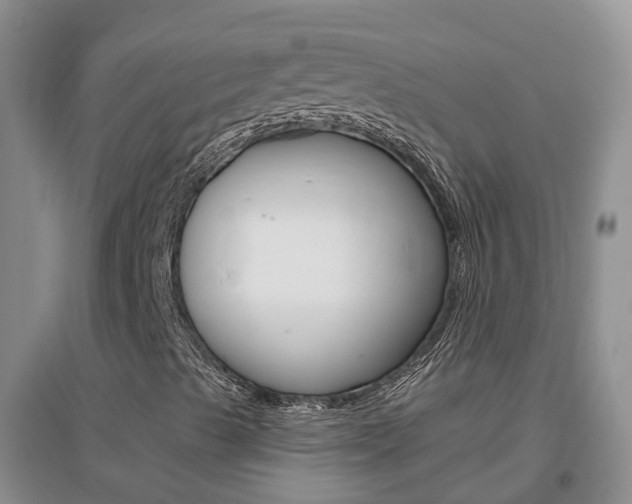 X0000096951489200802080909