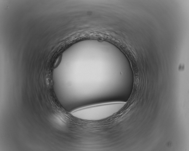 X0000096951490200802080909