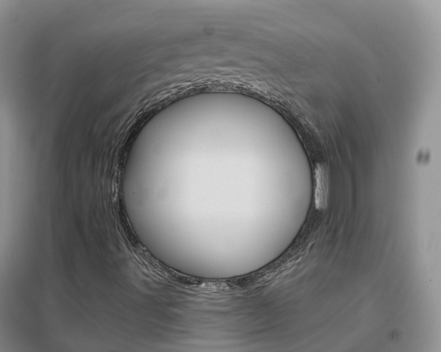 X0000096951491200802080909