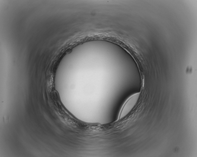 X0000096951492200802080909