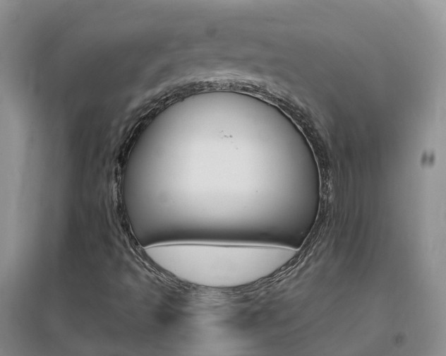 X0000096951493200802080909