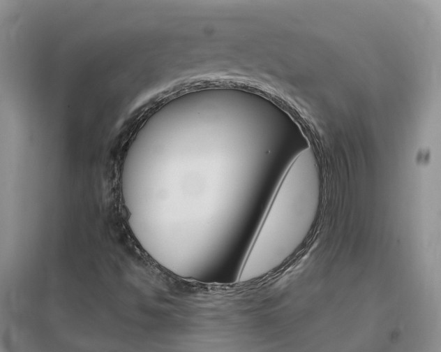 X0000096951494200802080909