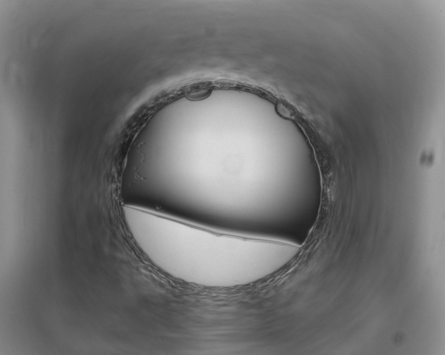 X0000096951495200802080909