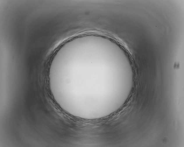 X0000096951496200802080909