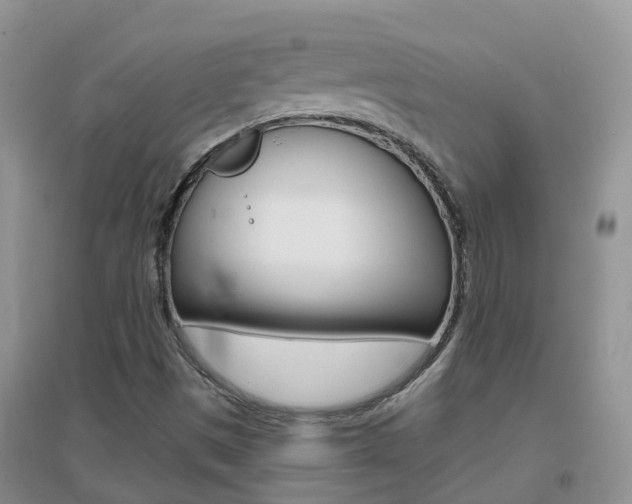 X0000096951497200802080909