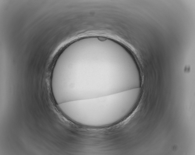 X0000096951498200802080909