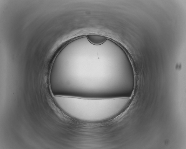 X0000096951499200802080909