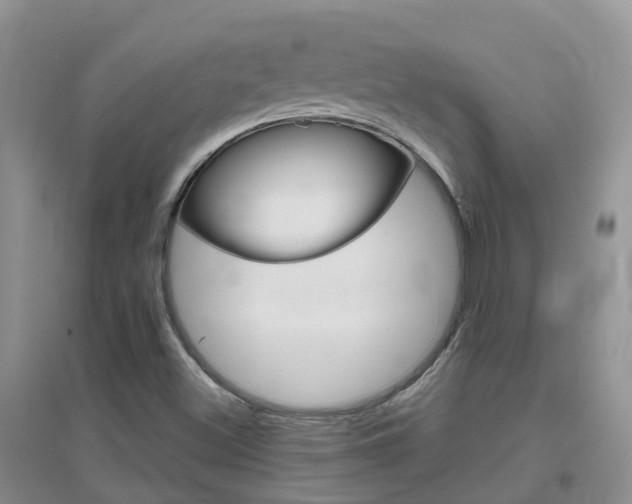 X0000096951500200802080909