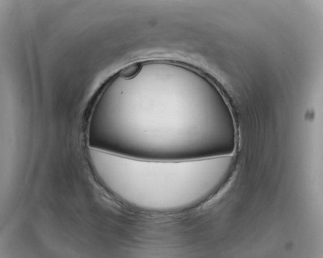 X0000096951501200802080909