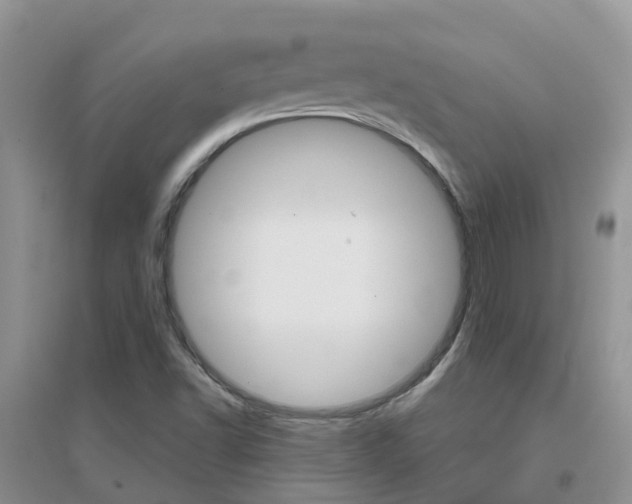 X0000096951502200802080909