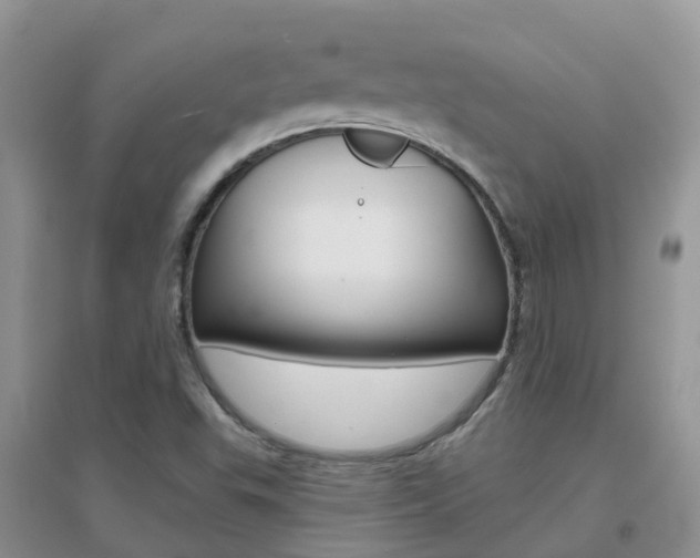 X0000096951503200802080909