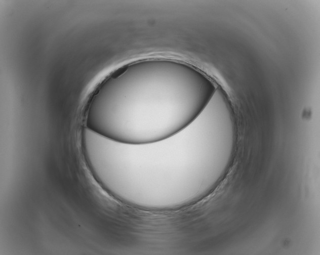 X0000096951504200802080909