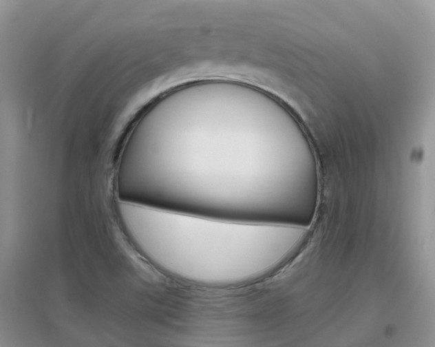 X0000096951507200802080909