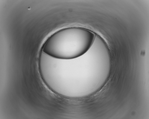 X0000096951508200802080909