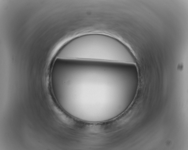 X0000096951511200802080909