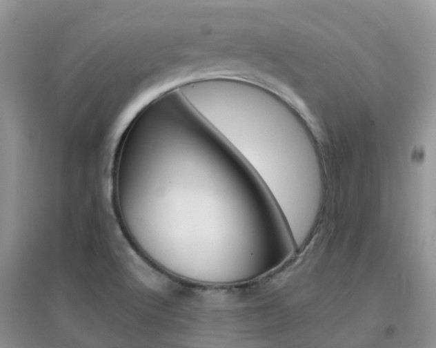 X0000096951512200802080909