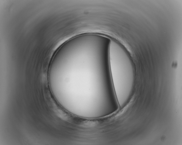 X0000096951513200802080909