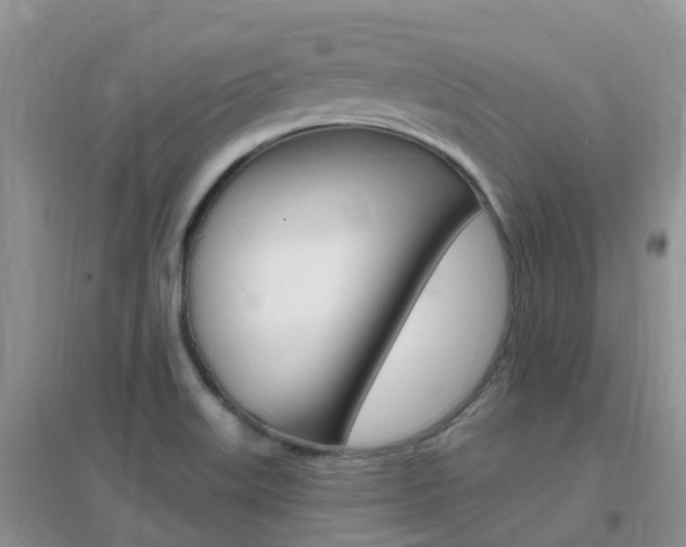 X0000096951515200802080909