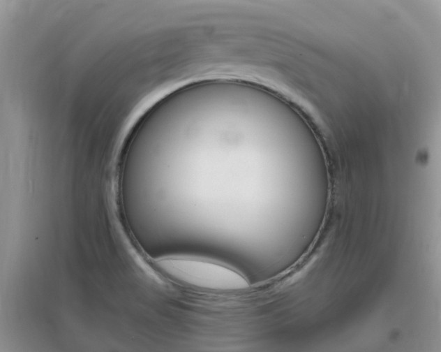 X0000096951517200802080909
