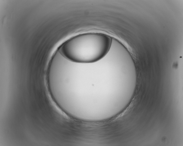 X0000096951518200802080909