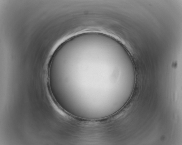 X0000096951519200802080909