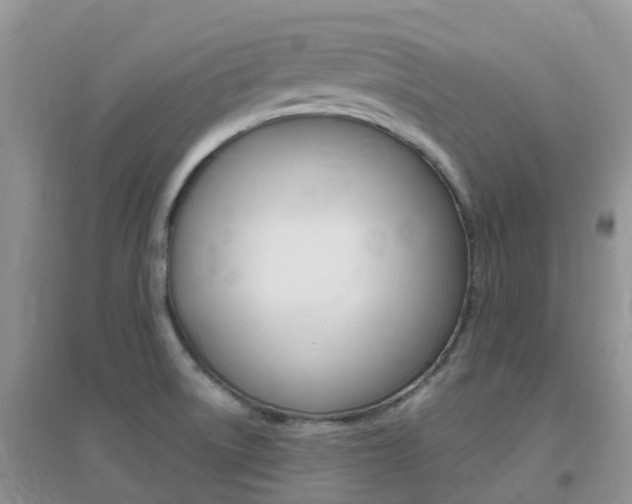 X0000096951522200802080909
