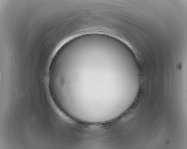 X0000096951523200802080909