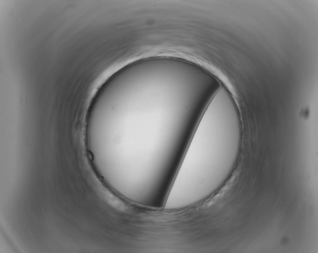 X0000096951525200802080909