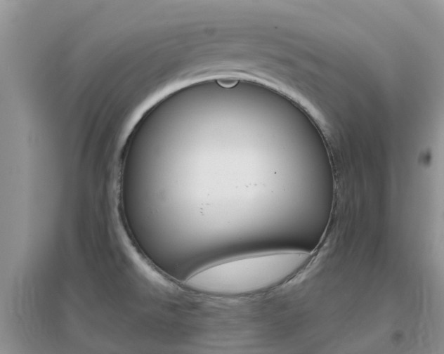 X0000096951526200802080909
