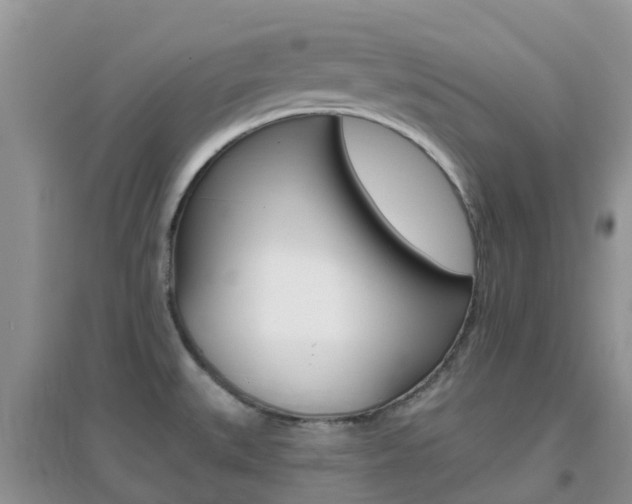 X0000096951527200802080909
