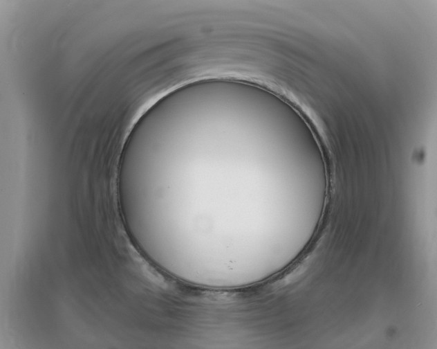 X0000096951529200802080909