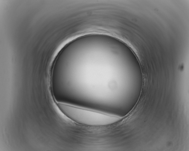 X0000096951531200802080909