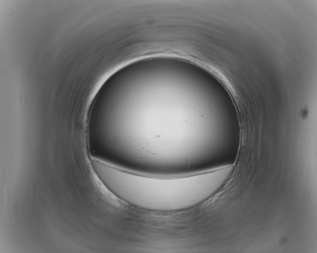 X0000096951532200802080909