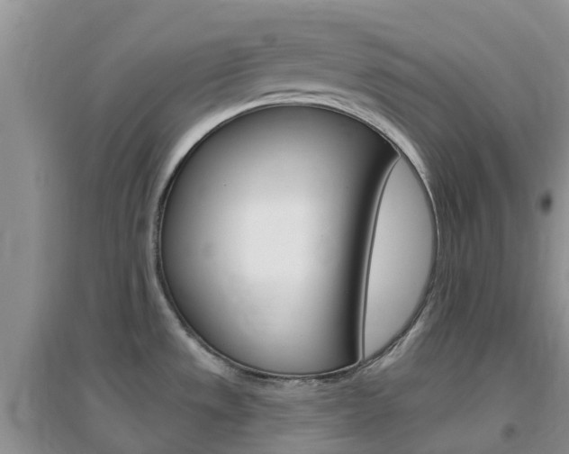 X0000096951533200802080909