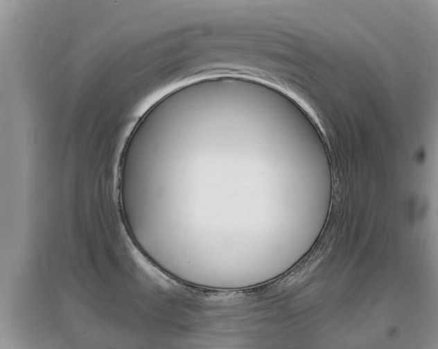 X0000096951535200802080910