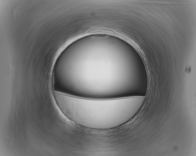 X0000096951536200802080910