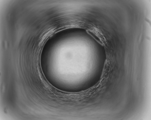 X0000096950001200802081240