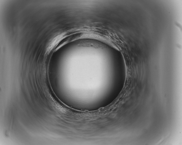 X0000096950005200802081240