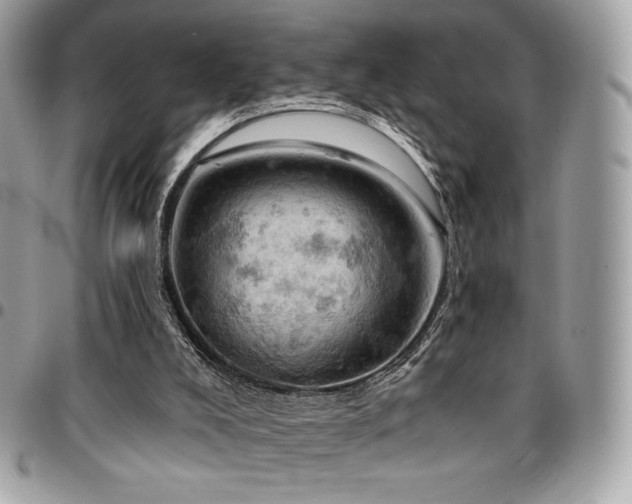 X0000096950008200802081240