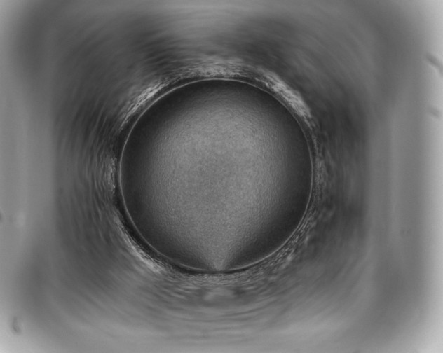 X0000096950009200802081240