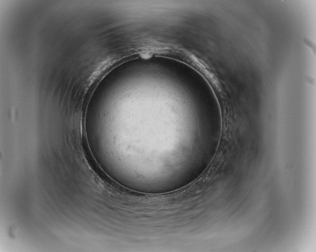 X0000096950011200802081240