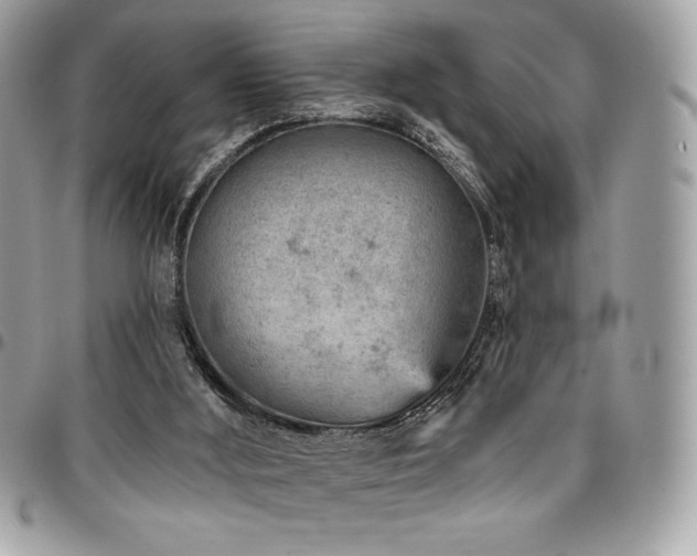 X0000096950012200802081240