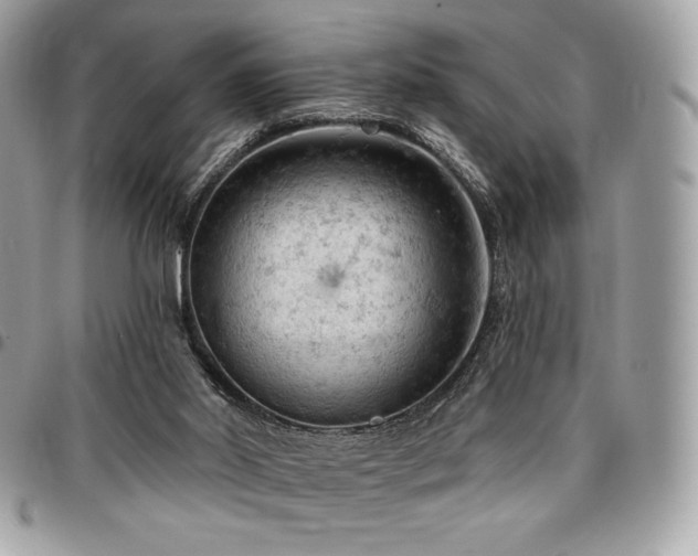 X0000096950014200802081240