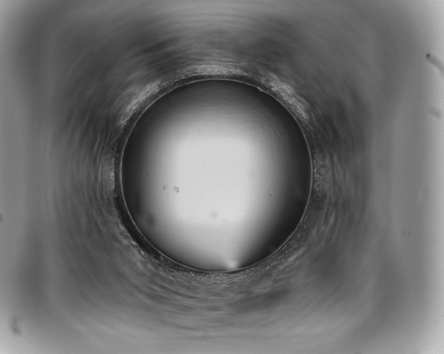 X0000096950015200802081240