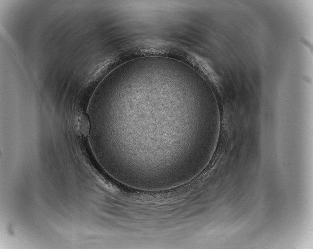 X0000096950017200802081240