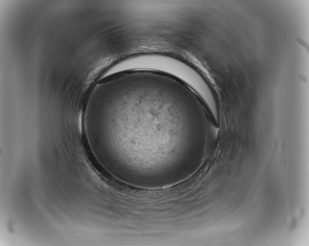X0000096950019200802081240
