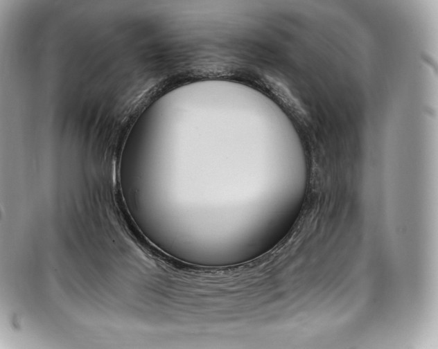 X0000096950021200802081240