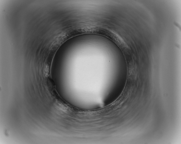 X0000096950025200802081240