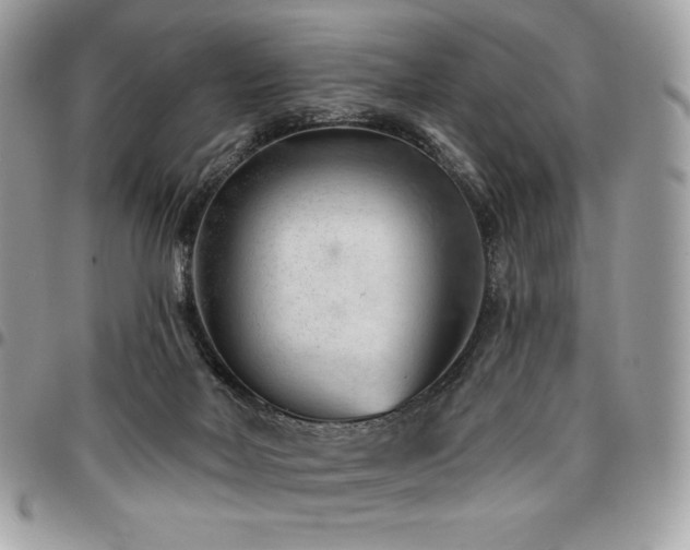 X0000096950026200802081240